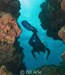 Osprey Reef.  Canon G-10 by Bill Arle 